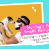 My-Dogs-Poop-Smells-Really-Bad