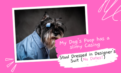 My-Dogs-Poop-has-a-slimy-Casing
