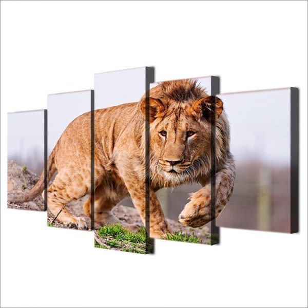 African Lion 2 - Animal 5 Panel Canvas Art Wall Decor