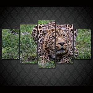 Afrika Leopard - Animal 5 Panel Canvas Art Wall Decor