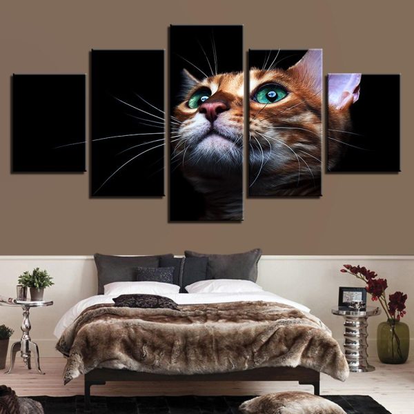 Black Background Cute Cat - Animal 5 Panel Canvas Art Wall Decor