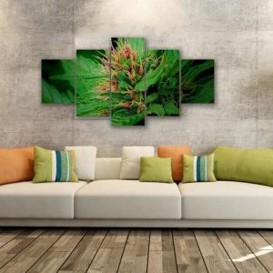 Cannabis Sweet - Nature 5 Panel Canvas Art Wall Decor