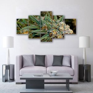 Cannabis - I Can Smell It - Nature 5 Panel Canvas Art Wall Decor