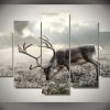 Caribou On Tundra - Animal 5 Panel Canvas Art Wall Decor