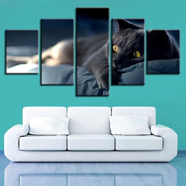 Cat Lovely 9 - Animal 5 Panel Canvas Art Wall Decor