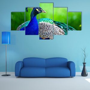 Close-Up Of Indian Peacock - Animal 5 Panel Canvas Art Wall Decor