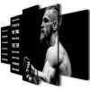 Conor Mcgregor 1 - Famous Person 5 Panel Canvas Art Wall Decor