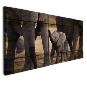 Elephants Collection 38 - Animal 5 Panel Canvas Art Wall Decor