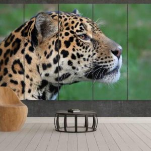 Leopard In The Wild - Animal 5 Panel Canvas Art Wall Decor