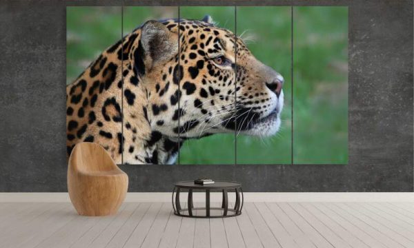 Leopard In The Wild - Animal 5 Panel Canvas Art Wall Decor