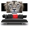 Lion 40 - Animal 5 Panel Canvas Art Wall Decor