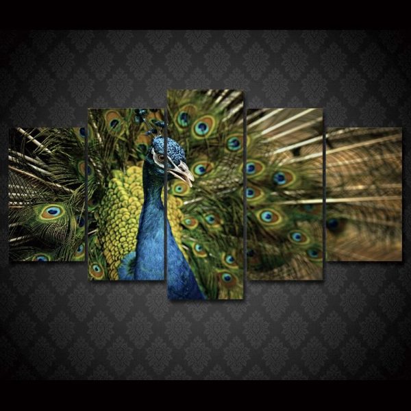 Peacock 6 - Animal 5 Panel Canvas Art Wall Decor