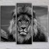 Proud Lion - Animal 5 Panel Canvas Art Wall Decor