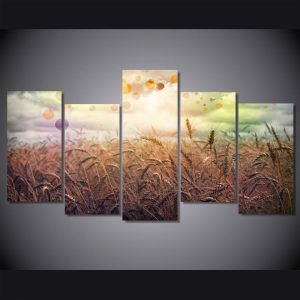 Rainbow Country - Nature 5 Panel Canvas Art Wall Decor