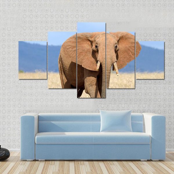 Red Elephant In Africa - Animal 5 Panel Canvas Art Wall Decor