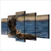 Sea Eagle - Animal 5 Panel Canvas Art Wall Decor