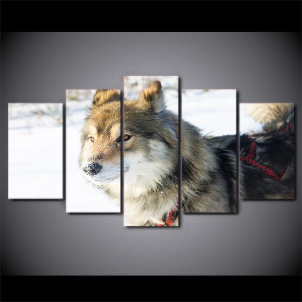 Snowfield Animal Wolf Dog Or Bedroom - Animal 5 Panel Canvas Art Wall Decor