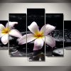 Stone Plumeria Flower - Nature 5 Panel Canvas Art Wall Decor