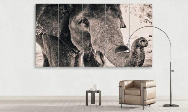 The Elephant - Animal 5 Panel Canvas Art Wall Decor