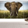 The Spirit Of An Elephant - Animal 5 Panel Canvas Art Wall Decor