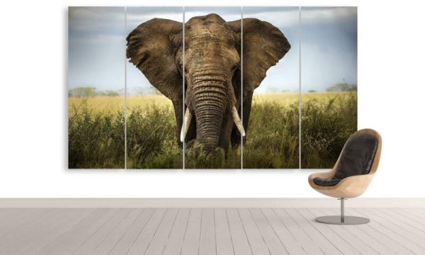 The Spirit Of An Elephant - Animal 5 Panel Canvas Art Wall Decor