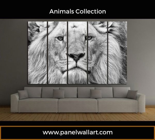 The Wisdom Of A Lion - Animal 5 Panel Canvas Art Wall Decor