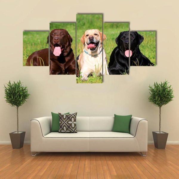 Three Labrador Retriever Dogs On The Grass - Animal 5 Panel Canvas Art Wall Decor