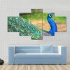 Walking Peacock - Animal 5 Panel Canvas Art Wall Decor