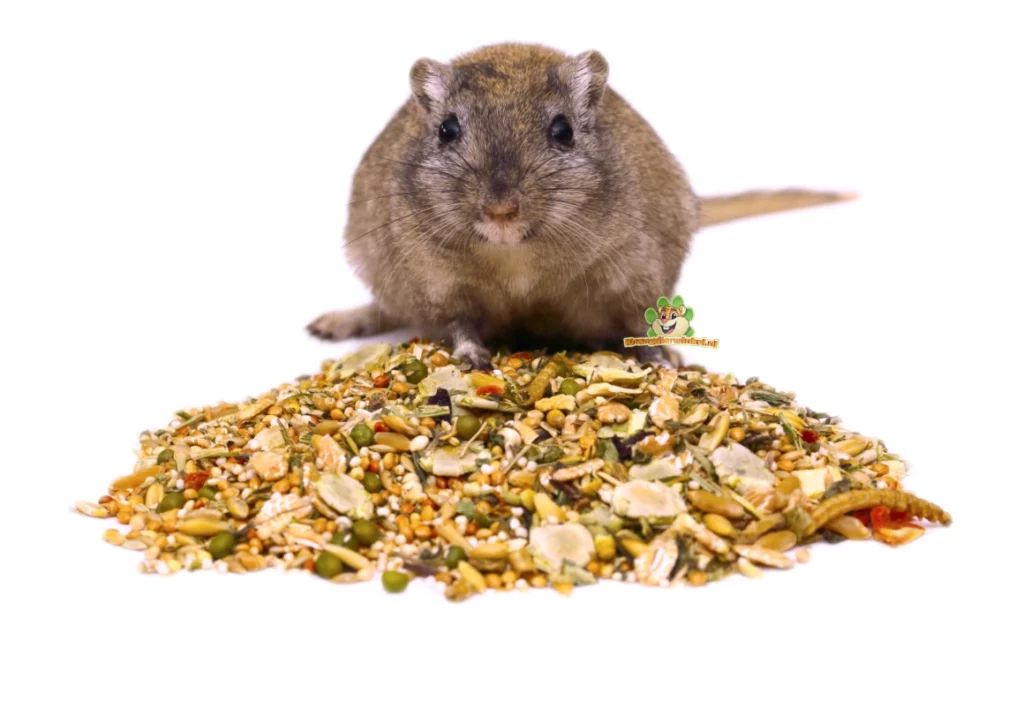 Safe Food for Gerbils